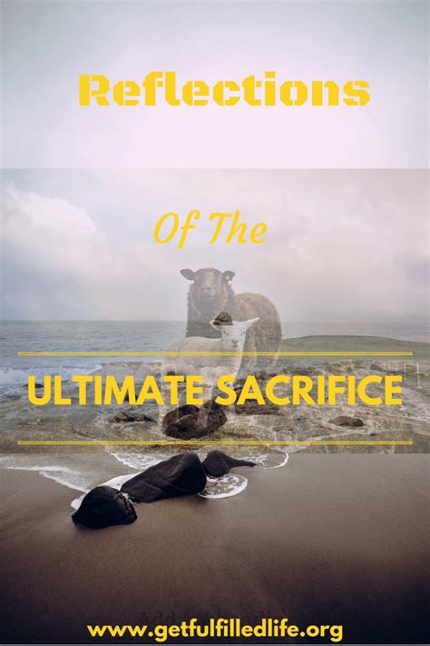 Reflections Of The Ultimate Sacrifice Jesus Lives Jesus Resurrection