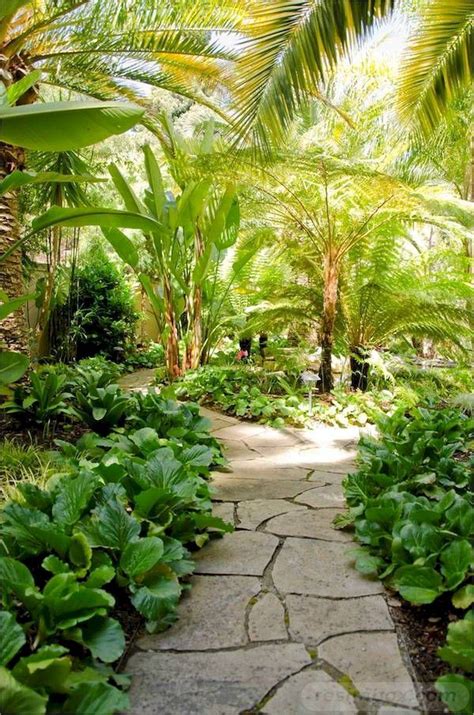 Tropical Backyard Garden Ideas You Should Check Sharonsable
