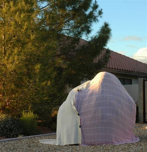 Protect fruit trees from late spring frost damage, and shrubs and vegetable crops from unseasonably low temperatures. Prepping for a Deep Freeze... - Ramblings from a Desert Garden