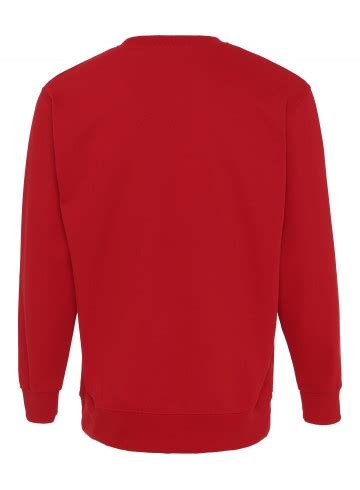 Red is the color at the end of the visible spectrum of light, next to orange and opposite violet. Plain Crewneck Heavy Sweatshirt Red - RudeCru.com