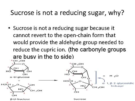 Why Sucrose Is Not A Reducing Sugar Faith North