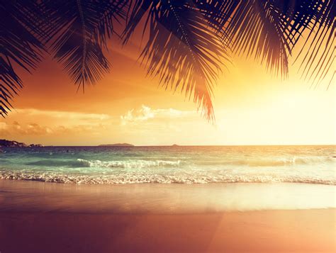 Sunset On A Tropical Beach Hd Desktop Wallpaper Wides Vrogue Co