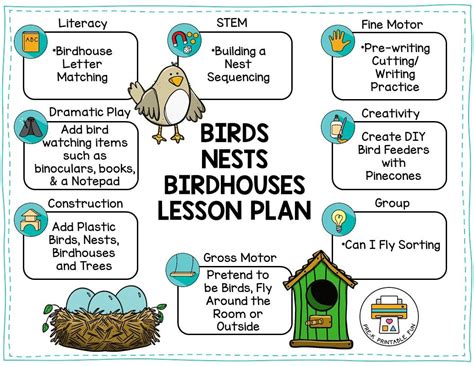 Birds Nests And Birdhouses Preschool Activities Free Sample Lesson