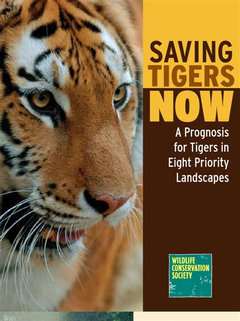 Saving Tigers Tiger Conservation Biology