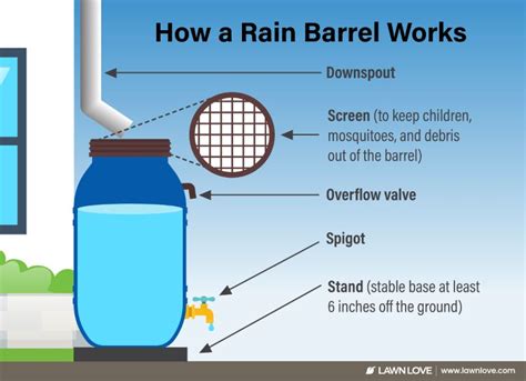 How To Use A Rain Barrel From Installation To Maintenance