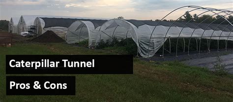 Figured i'd share the design since it's super simple. Caterpillar Tunnel vs Hoop House - Low Cost Growing ...