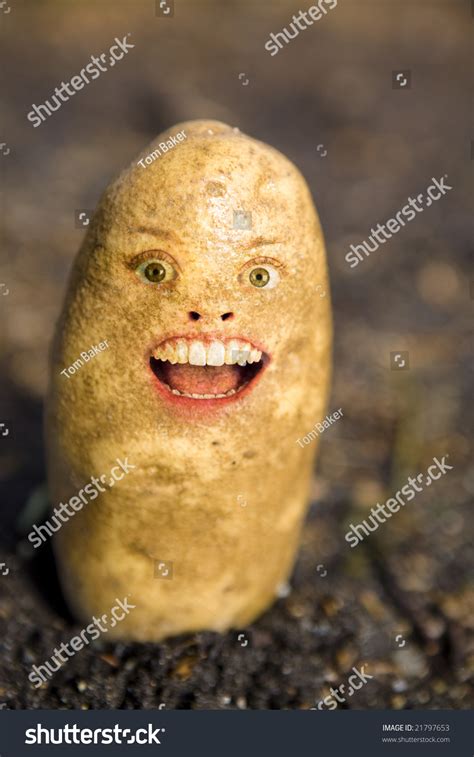 Potato Head Face Stock Photo 21797653 Shutterstock