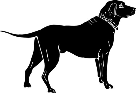 Labrador Retriver Dog Silhouette Pet Lover Free Svg File Svg Heart
