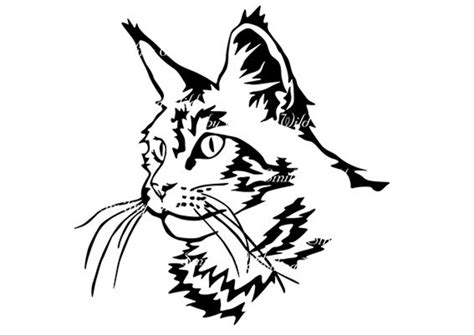 Maine Coon Portrait Head Cat Svg Maine Coon Clipart Printable Etsy
