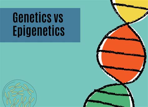 Genetics Vs Epigenetics From Gene Alterations To Gene Expression