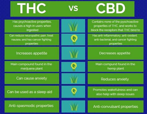 What Is Cbd Oil About Get The Facts Cbd Handle