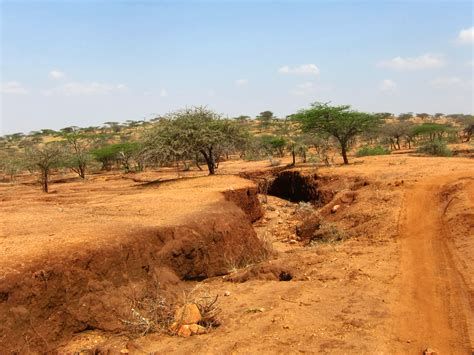 New Land Degradation Neutrality Goal To Accelerate Global Restoration