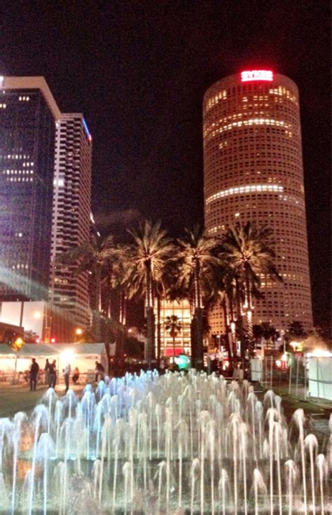 Downtown Tampa At Night Tampa In 2019 Tampa Bay Area Florida