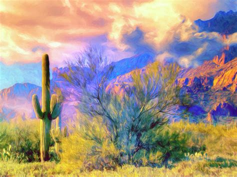 Sonoran Desert Sunset Painting By Dominic Piperata