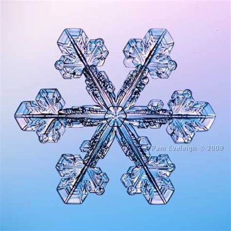 By Pam Eveleigh Via Flickr Real Snowflakes Winter Snowflakes Winter