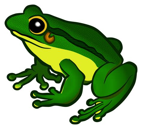 Onlinelabels Clip Art Frog Coloured