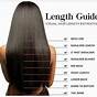 Hair Length Number Chart