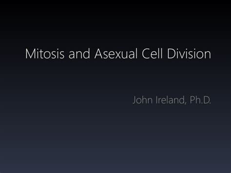 Mitosis And Asexual Cell Division