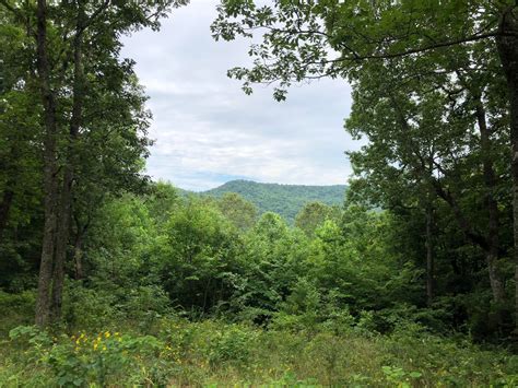 Bring your camper or build your dream lake home. Monticello, Wayne County, KY Undeveloped Land for sale ...