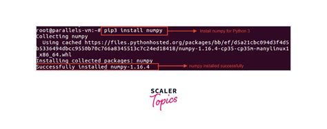 How To Install Numpy In Python Scaler Topics