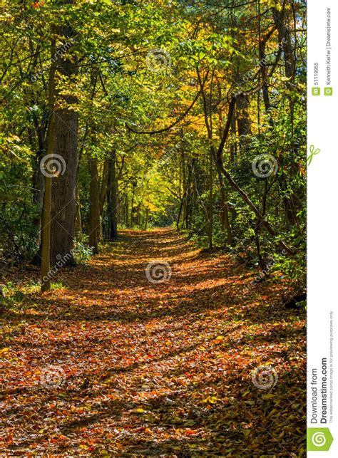 Early Autumn Pathway Stock Image Image Of Landscape 51119955