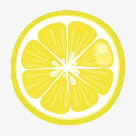 Lemon Slice Drawing Free Download On Clipartmag