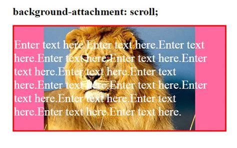 Css Background Attachment I2tutorials