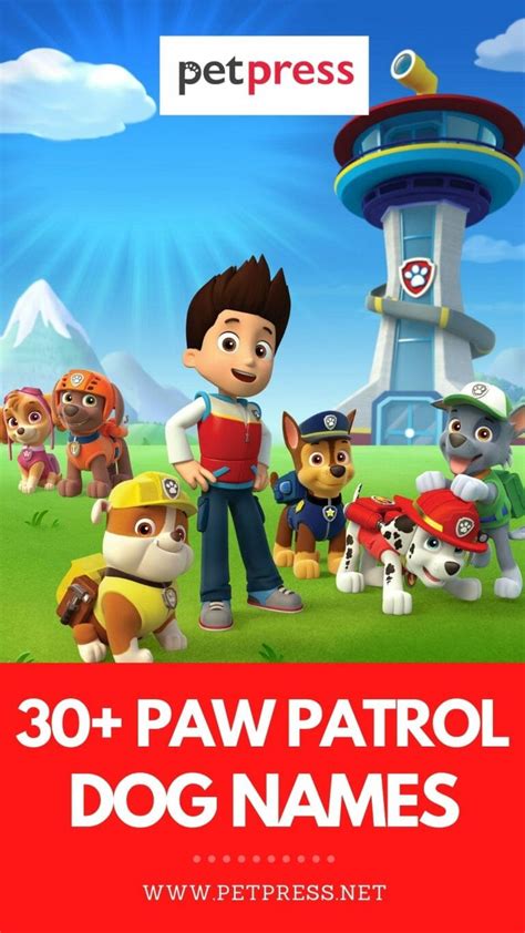 30 Paw Patrol Dog Names Puppy Names Inspired By The Cartoon