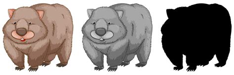 Set Of Wombat Character 433311 Vector Art At Vecteezy