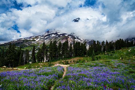 In Defense Of Trail Running Mount Rainier National Park Mt Rainier