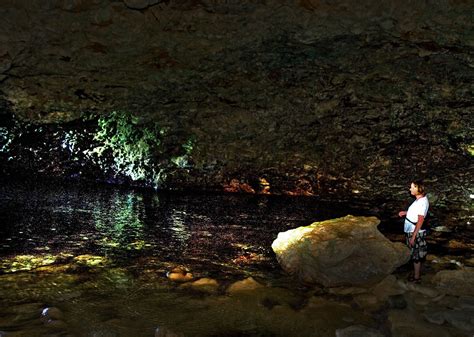 The Animal Flower Cave Barbados The Animal Flower Cave Is Flickr