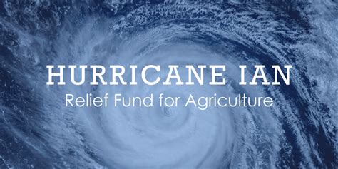 Hurricane Relief Fund Started For Florida Growers Vegetable Growers News