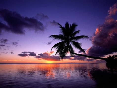 41 Free Sunset Tropical Island Wallpaper