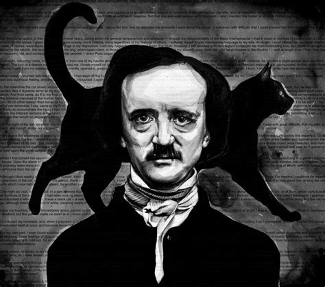 Versos Transbordados O Gato Preto De Edgar Allan Poe
