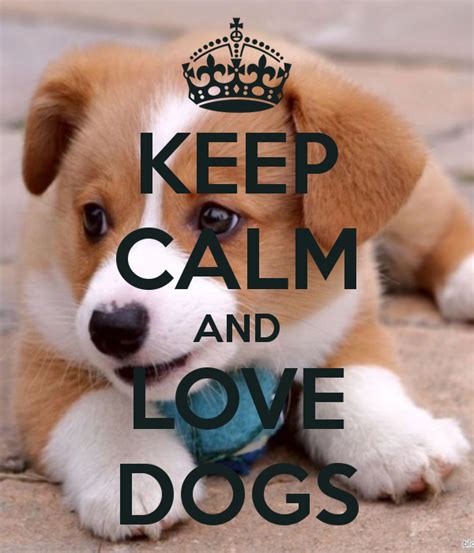 Keep Calm And Love Dogs Keep Calm Quotes Keep Calm Calm Quotes