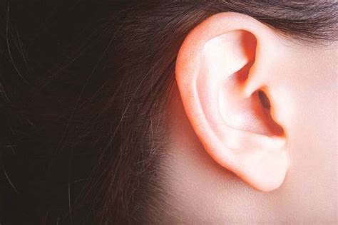 Earlobe Stock Photos Pictures And Royalty Free Images Istock