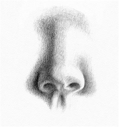 Learn How To Draw Paintings Portraits Pencil Portraits Drawing The Nose