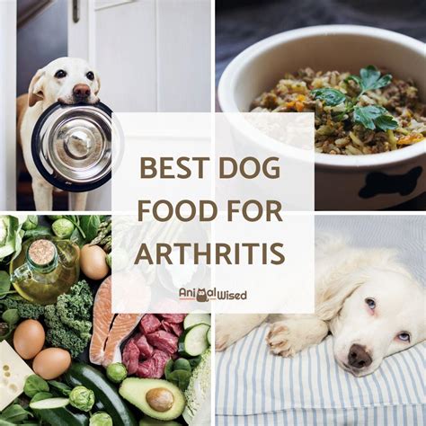 What should i do if i think my dog is experiencing joint pain? Best Dog Food for Arthritis - Arthritis Diet for Dogs