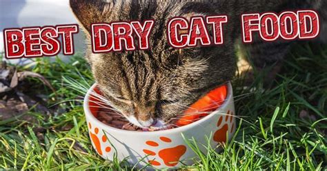 The best dry cat food, the best wet cat food, the best sensitive stomach cat food, and more. Top 10 Best Dry Cat Food Brands For 2016 Tap the link for ...