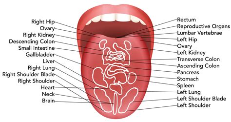 what your tongue is telling you 6 important clues your tongue can give you about your health