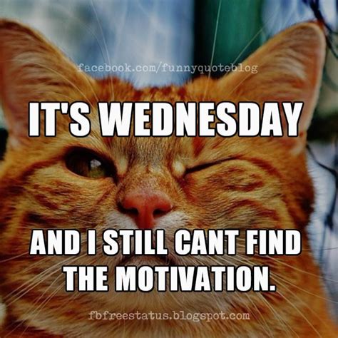 √ Funny Wednesday Motivation Meme