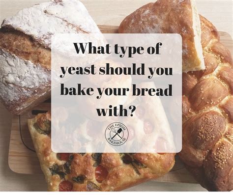 What Type Of Yeast Should You Bake Your Bread With The Epsom Bakehouse