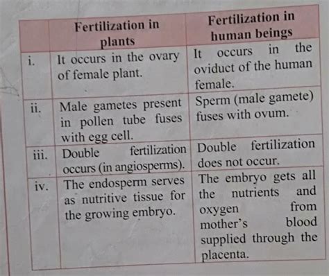 Differences Between Fertilisation In Humans And Plants Brainly In