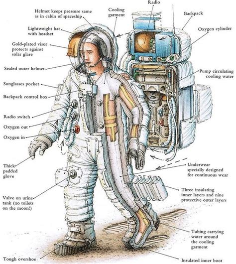 Cross Section X Ray Of A Spacesuit Space Suit Space Science