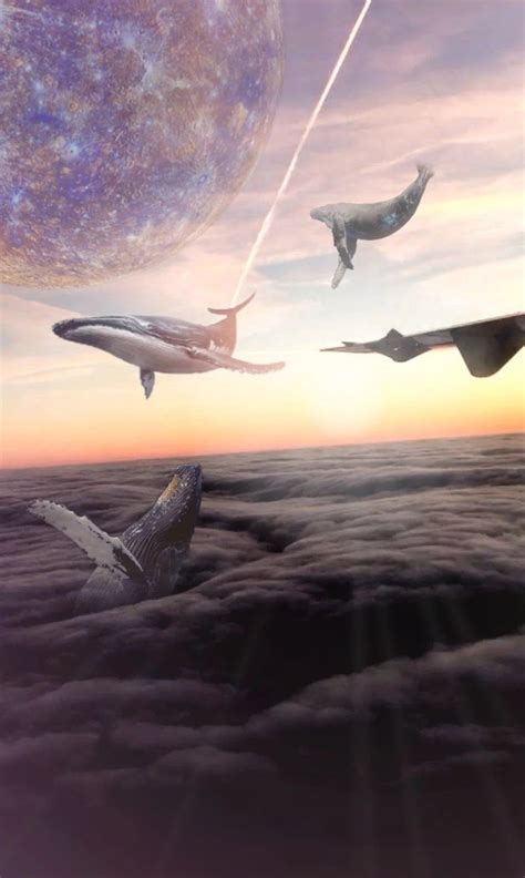 Sky Whales Surreal Art Whale Art Surreal Art Deep Art