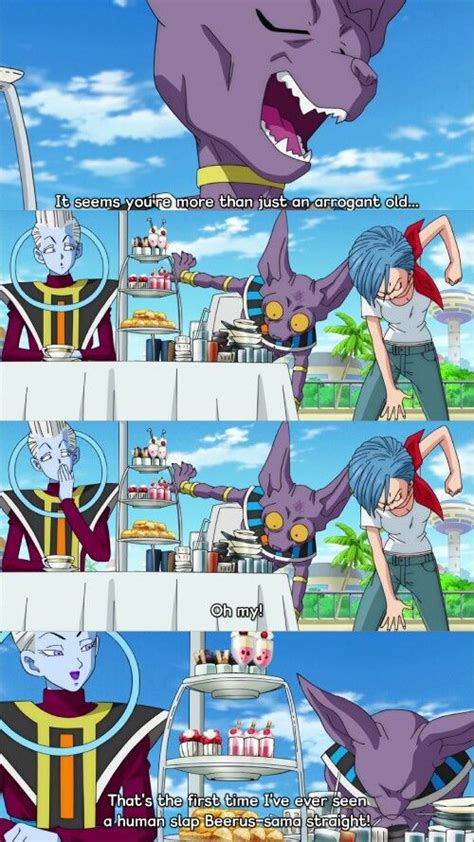 Bulma Beerus And Whis I Love Beerus Stupid Faces It Reminds Me Of My