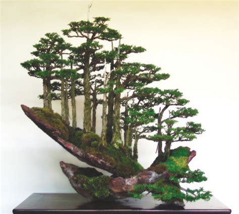 Two Masterpiece Bonsai Forests And An Inspired Imitation Bonsai Bark