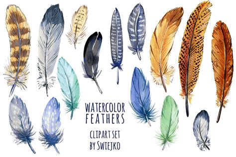 Watercolor Feather Clipart Illustrations Creative Market