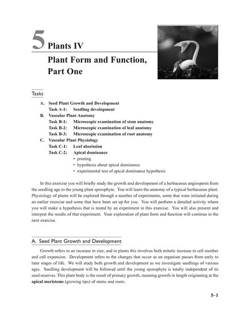 Biol1031 5 Lab 5 5 Plants Iv Plant Form And Function Part One