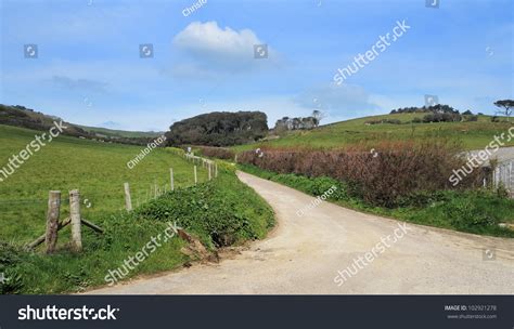 Rural Landscape Dorset England Road Between Stock Photo 102921278